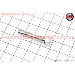 Болт M6x30mm (под ключ)