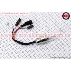 Лампа БИ-XENON H6 (12V 50W DC AMP) 4300K, шт