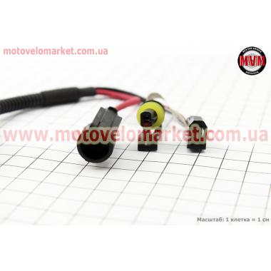 Лампа БИ-XENON H6 (12V 50W DC AMP) 5000K, шт