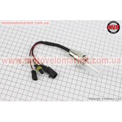 Лампа БИ-XENON H6 (12V 50W DC AMP) 6000K, шт